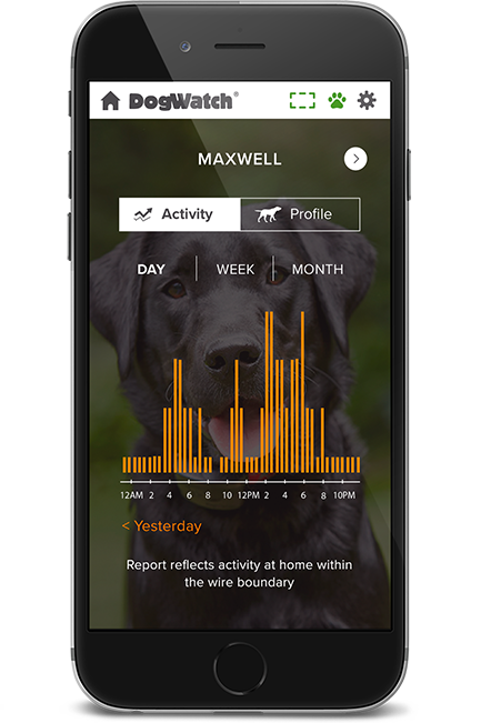 DogWatch by Critter Camp, Duncombe, IA | SmartFence WebApp Image