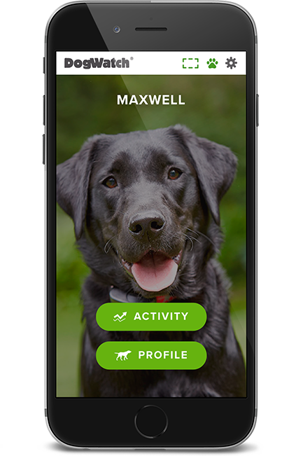 DogWatch by Critter Camp, Duncombe, IA | SmartFence WebApp Image