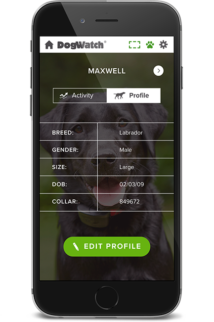 DogWatch by Critter Camp, Duncombe, IA | SmartFence WebApp Image